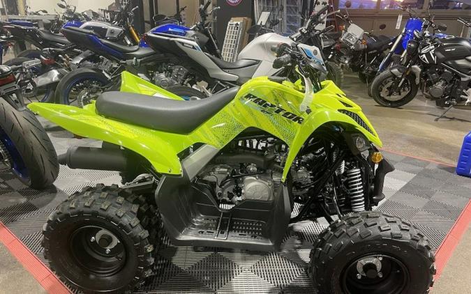 2026 Yamaha Raptor 110