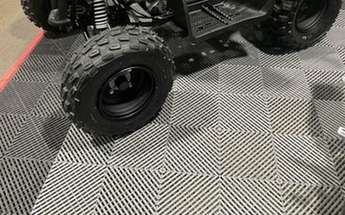 2026 Yamaha Raptor 110