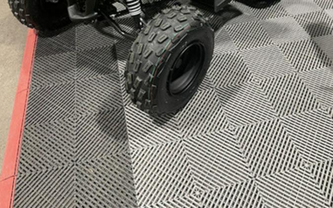 2026 Yamaha Raptor 110