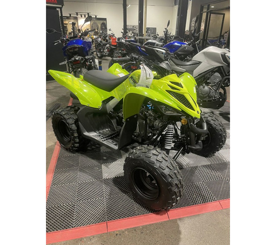 2026 Yamaha Raptor 110