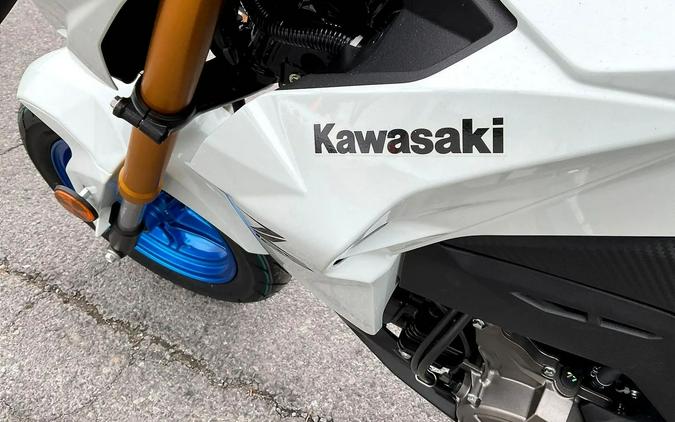 2026 Kawasaki Z125 PRO Base