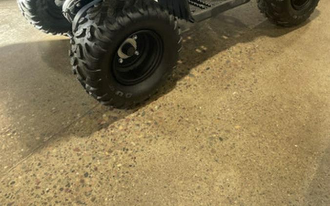 2025 Yamaha Grizzly 110