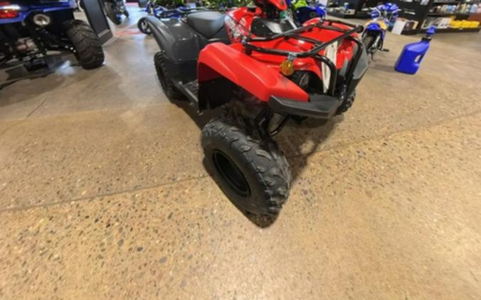 2025 Yamaha Grizzly 110