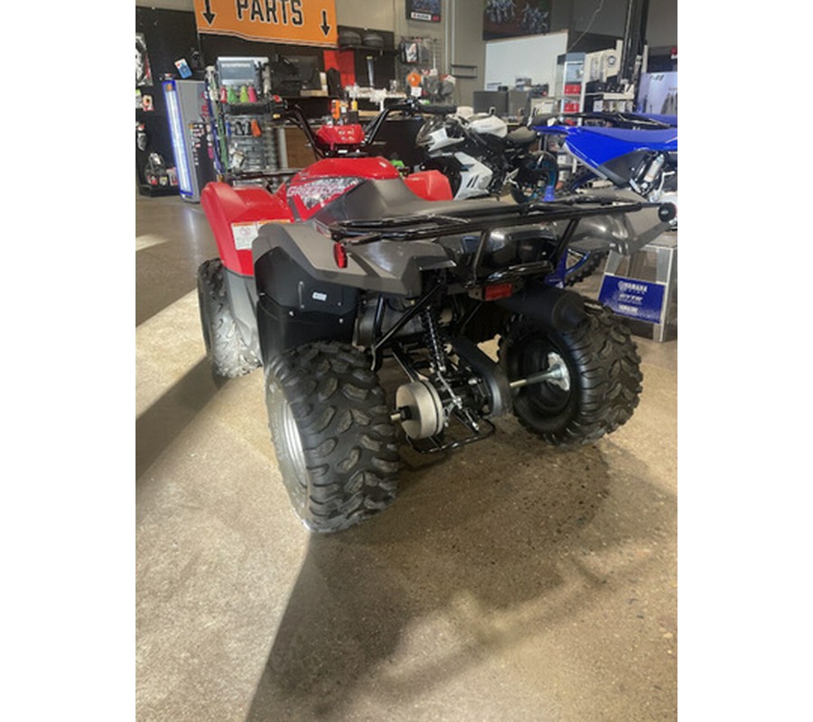 2025 Yamaha Grizzly 110
