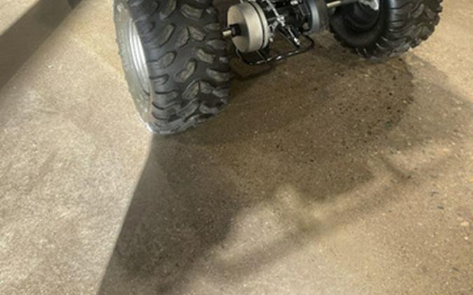 2025 Yamaha Grizzly 110