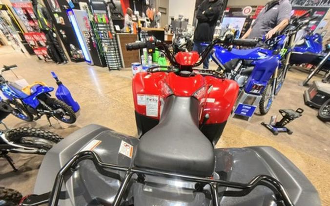 2025 Yamaha Grizzly 110