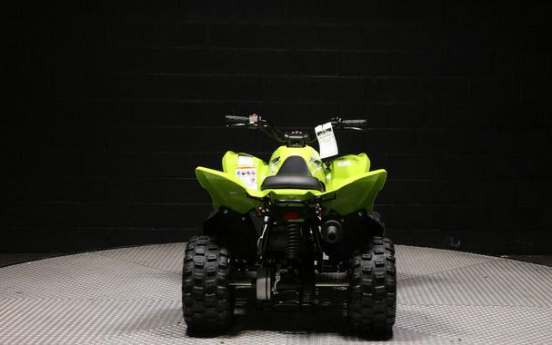 2026 Yamaha Raptor 110