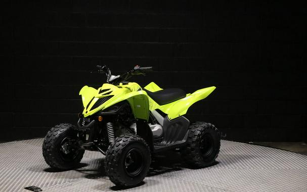 2026 Yamaha Raptor 110