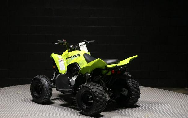 2026 Yamaha Raptor 110