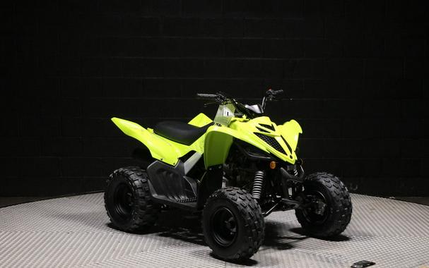 2026 Yamaha Raptor 110