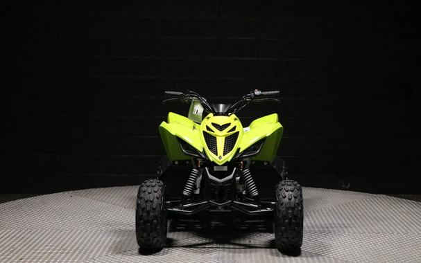 2026 Yamaha Raptor 110