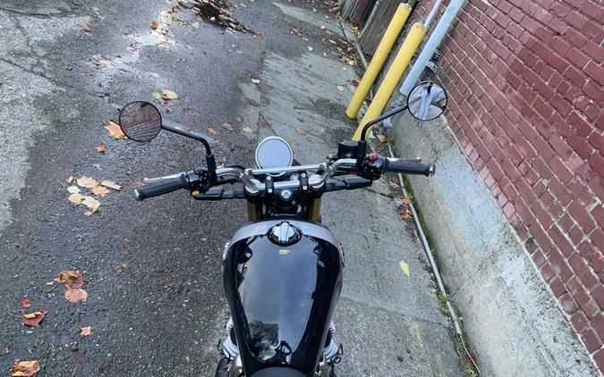 New 2026 Royal Enfield INT BEAR 650