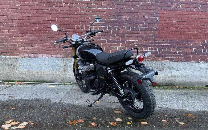 New 2026 Royal Enfield INT BEAR 650