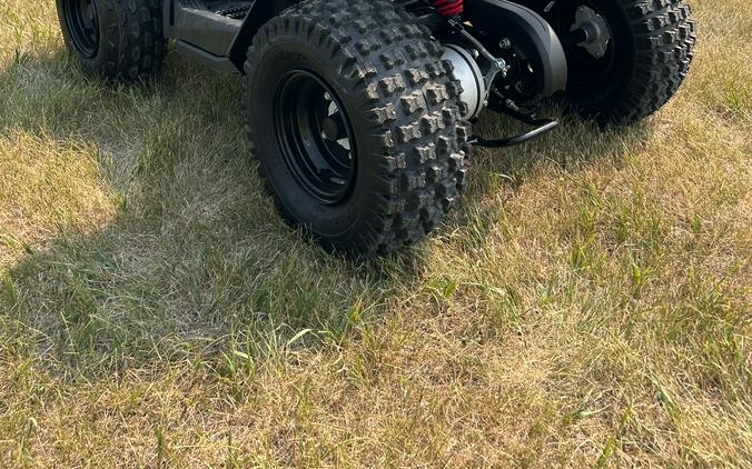 2026 Can-Am Renegade 70 EFI