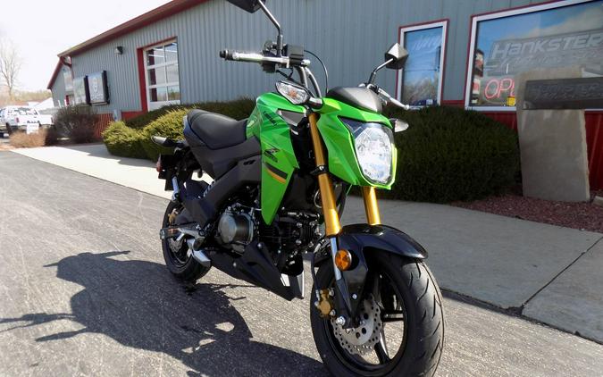 2024 Kawasaki Z125 Pro