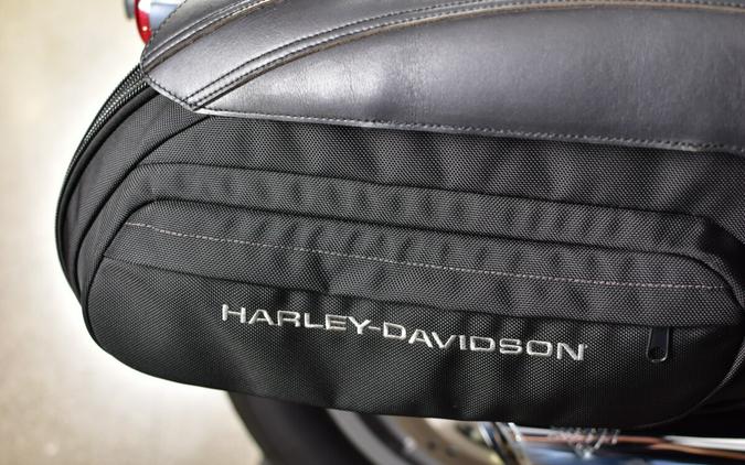 2024 Harley-Davidson Softail Standard