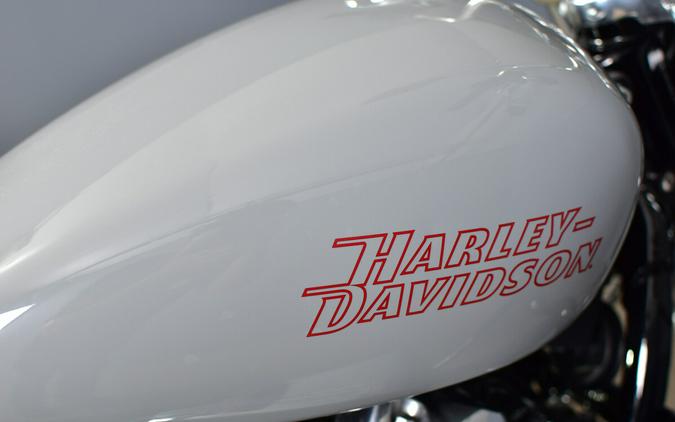 2024 Harley-Davidson Softail Standard