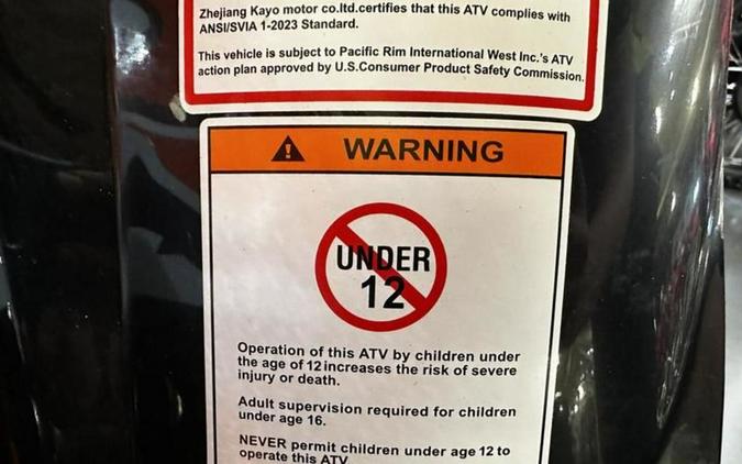 2025 Kayo Storm 150 EFI