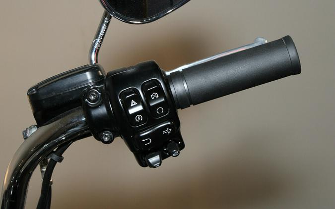 2022 Harley-Davidson Police Road King Grand American Touring FLHP