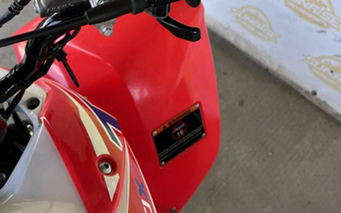 2026 Honda TRX 250X