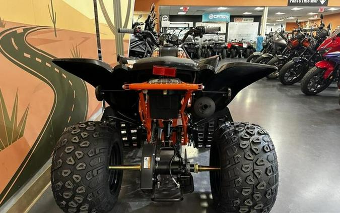 2025 Kayo Storm 150 EFI
