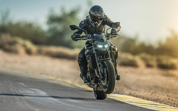 2025 Kawasaki Z900 ABS