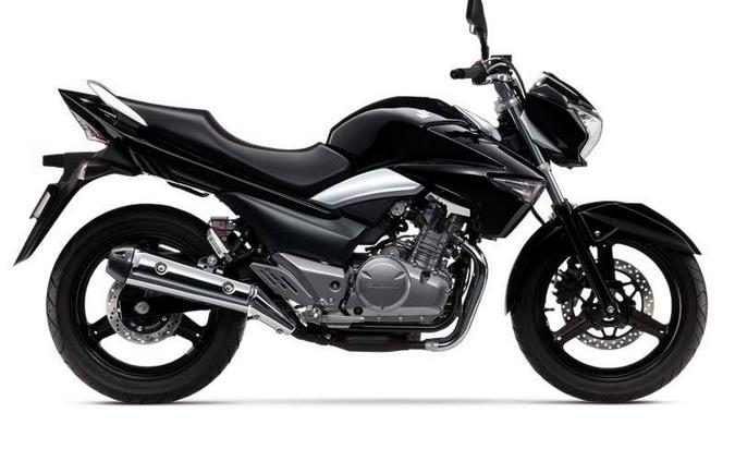 2013 Suzuki Motor of America Inc. GW250