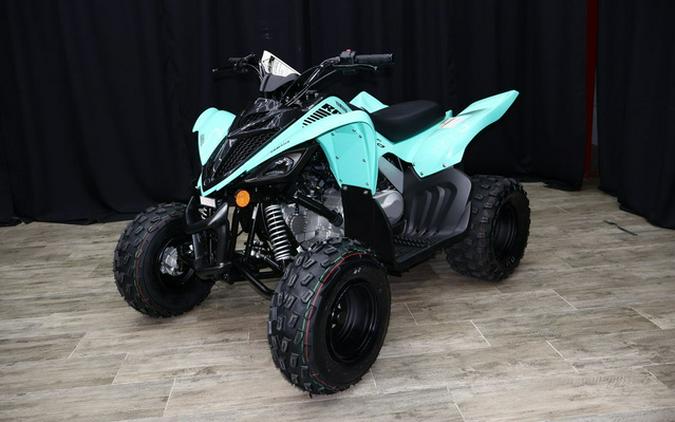 2024 Yamaha Raptor 110