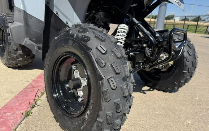 2026 Polaris Phoenix 200
