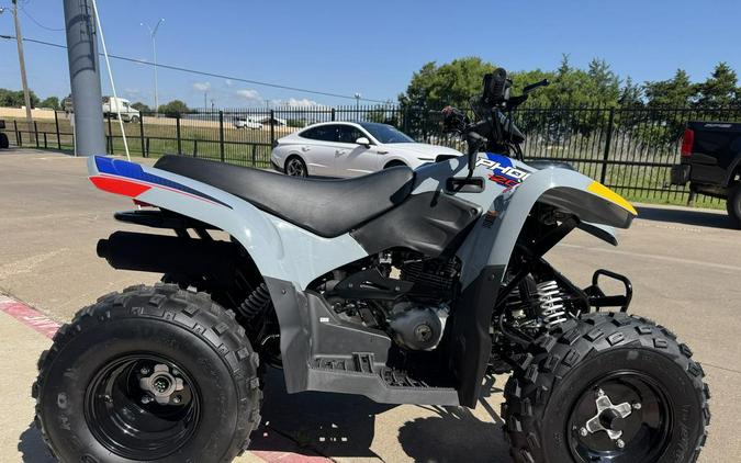 2026 Polaris Phoenix 200