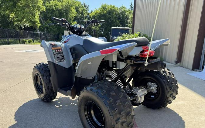 2026 Polaris Phoenix 200