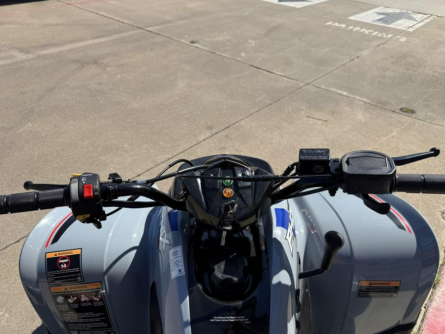 2026 Polaris Phoenix 200