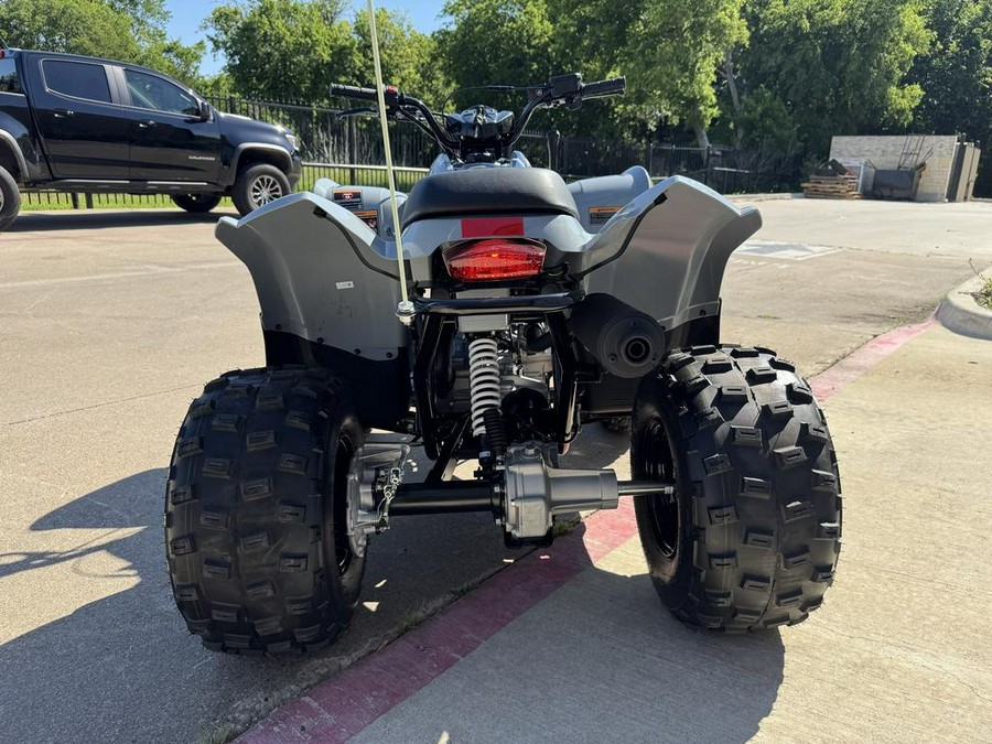 2026 Polaris Phoenix 200