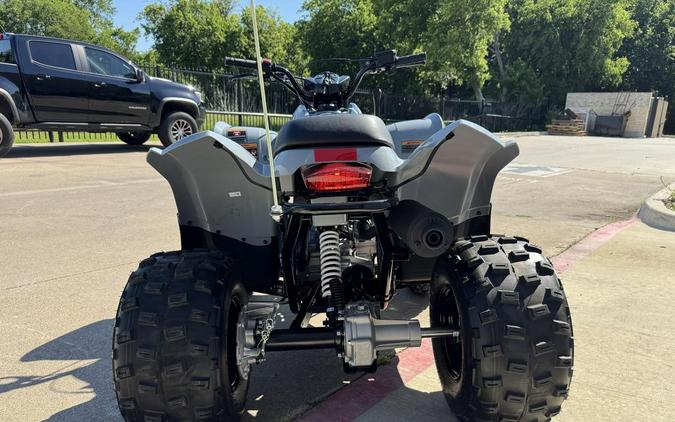 2026 Polaris Phoenix 200