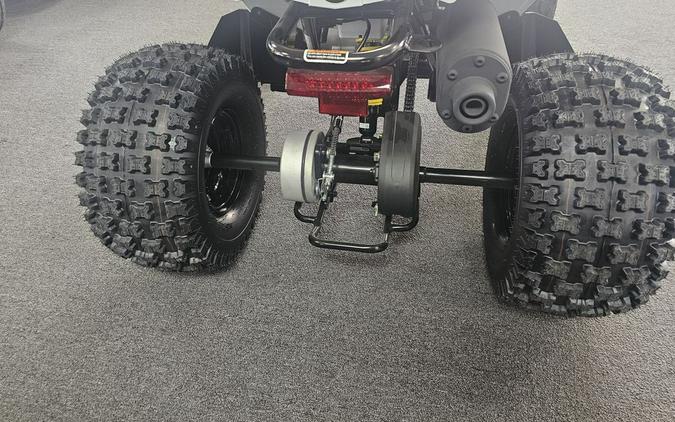 2026 Can-Am® Renegade 110 EFI