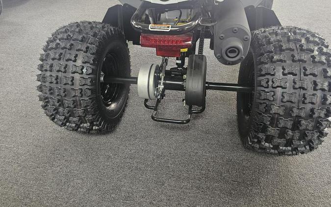 2026 Can-Am® Renegade 110 EFI