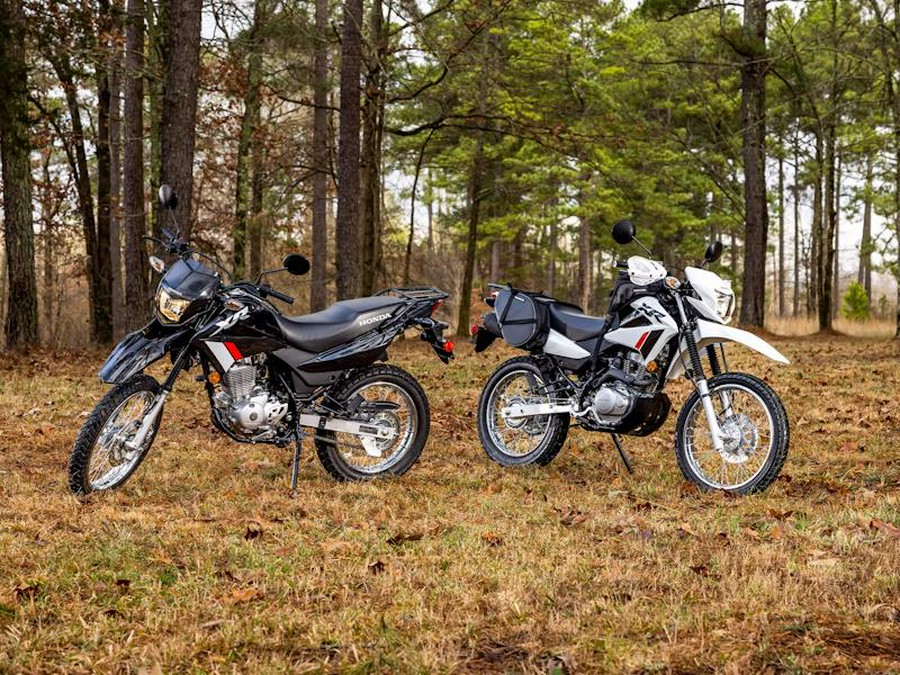 2024 Honda® XR150L for sale in Gambrills, MD