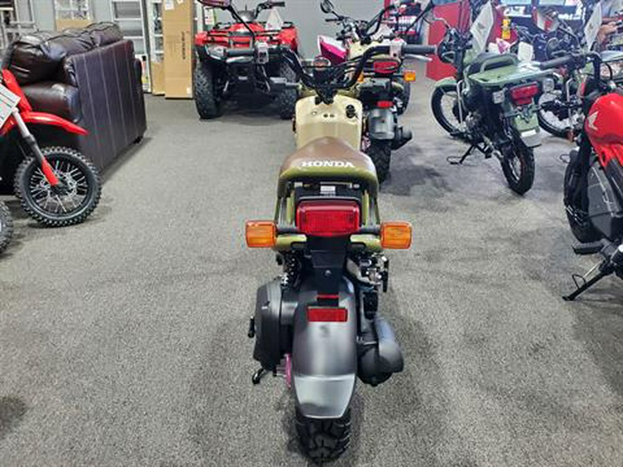 2024 Honda Ruckus