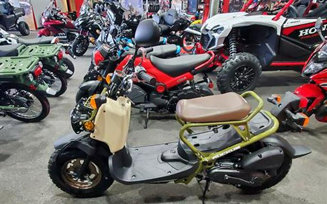 2024 Honda Ruckus