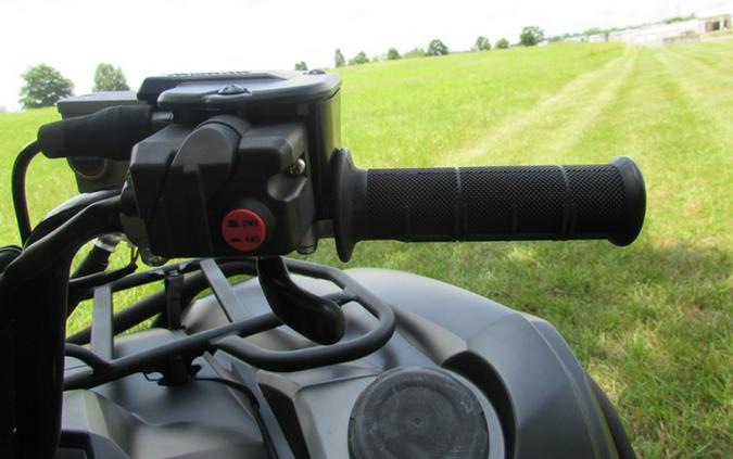 2018 Yamaha Grizzly EPS