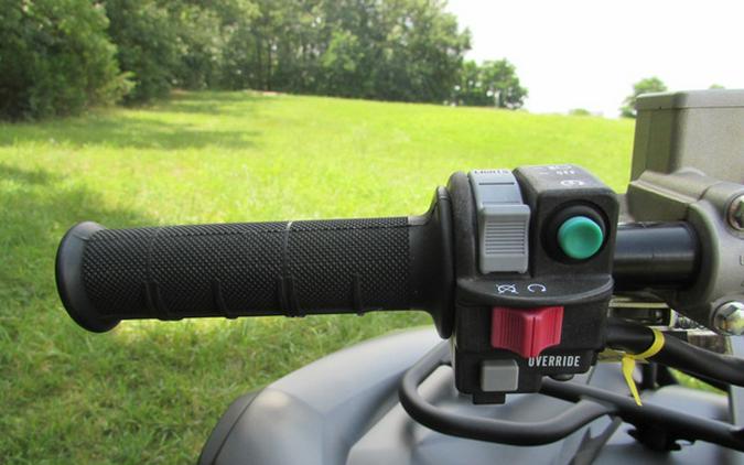 2018 Yamaha Grizzly EPS