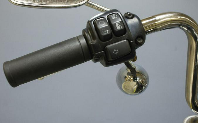 2021 Harley-Davidson® FXST - Softail® Standard