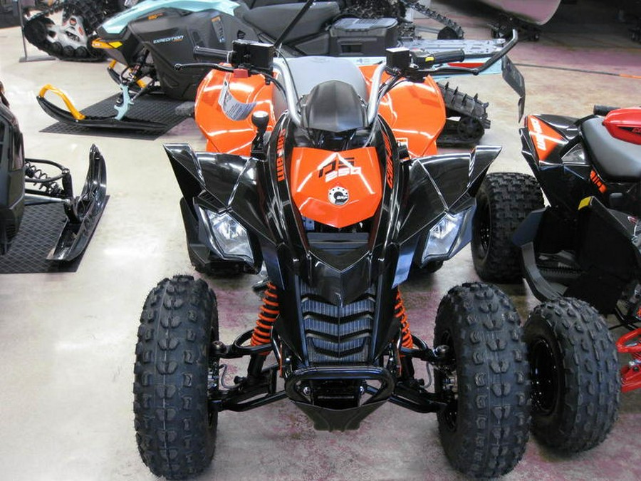 2025 BRP CAN-AM ATV DS 250 4ST 2X4