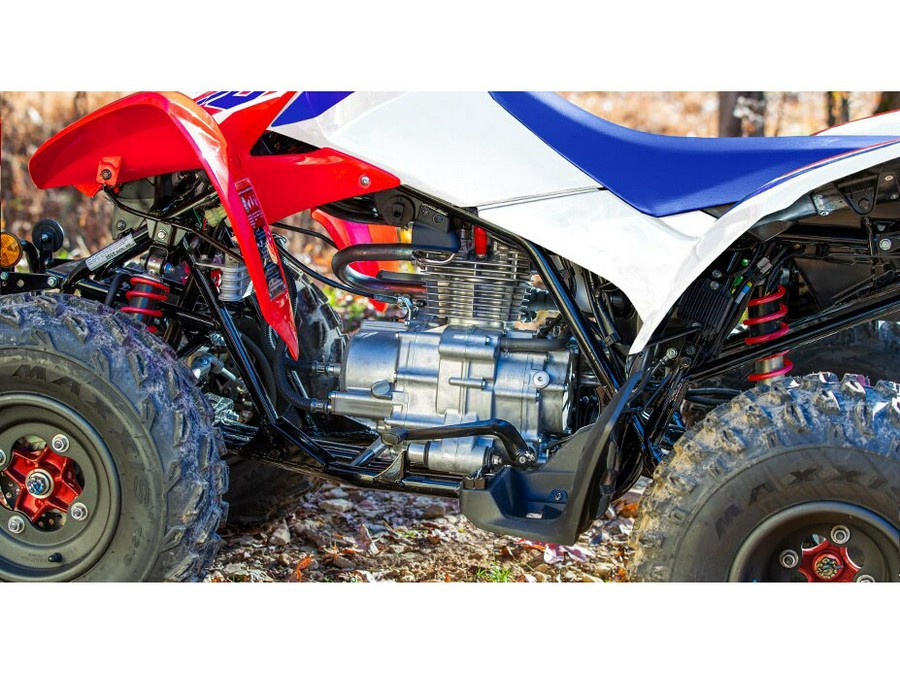 2026 Honda TRX250X