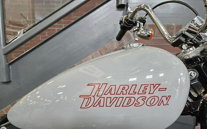 2024 Harley-Davidson® FXST - Softail® Standard