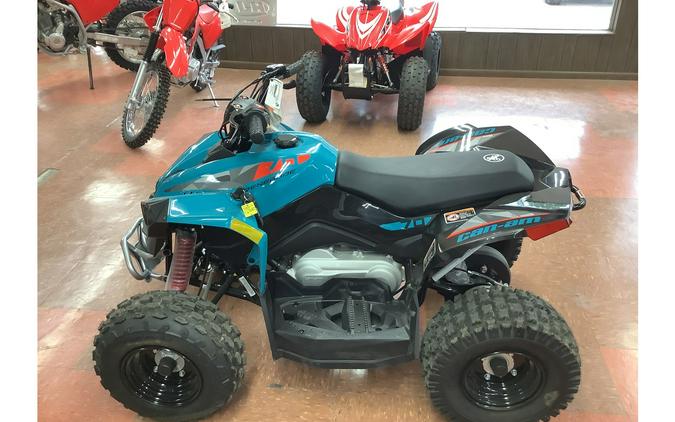 2025 Can-Am Renegade 70 EFI