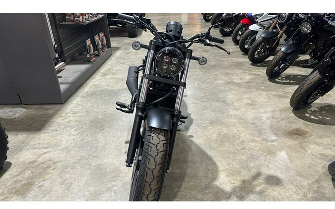 2025 REBEL 300 - Honda