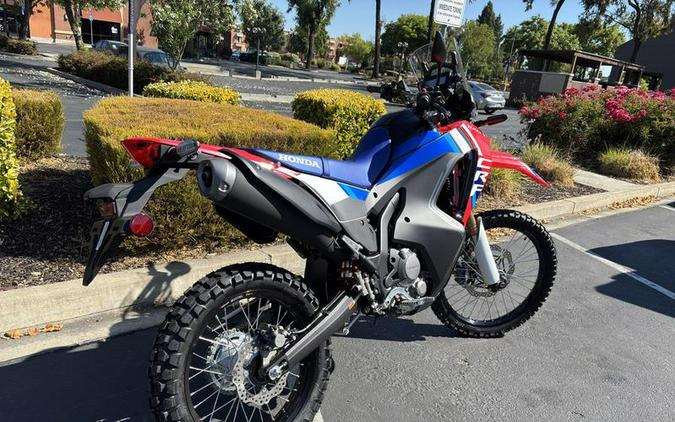 2025 Honda® CRF300L Rally ABS