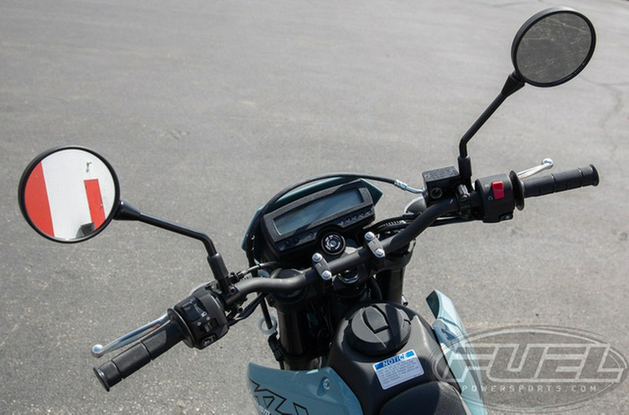 2025 Kawasaki KLX 300SM