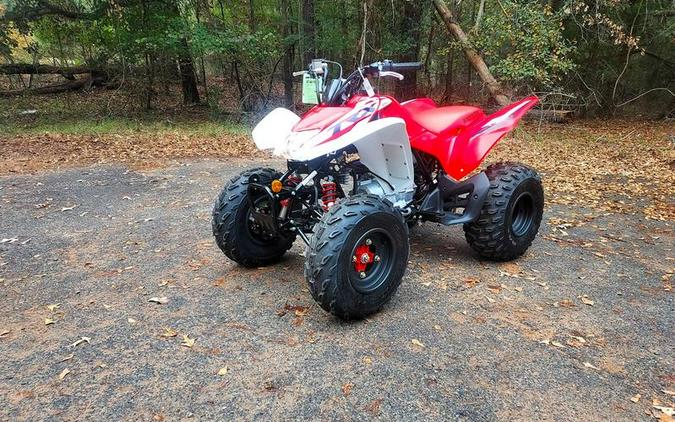 2023 Honda® TRX250X